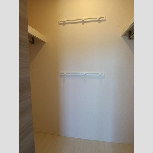 収納 (ウォークインクローゼット)