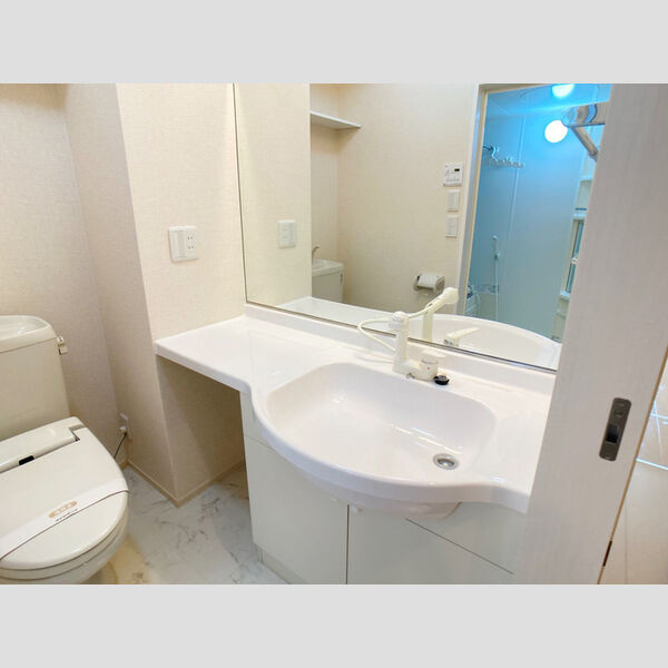 洗面所 (洗髪洗面化粧台)