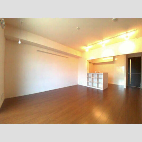 収納 (101 カウンター収納付のLDK)