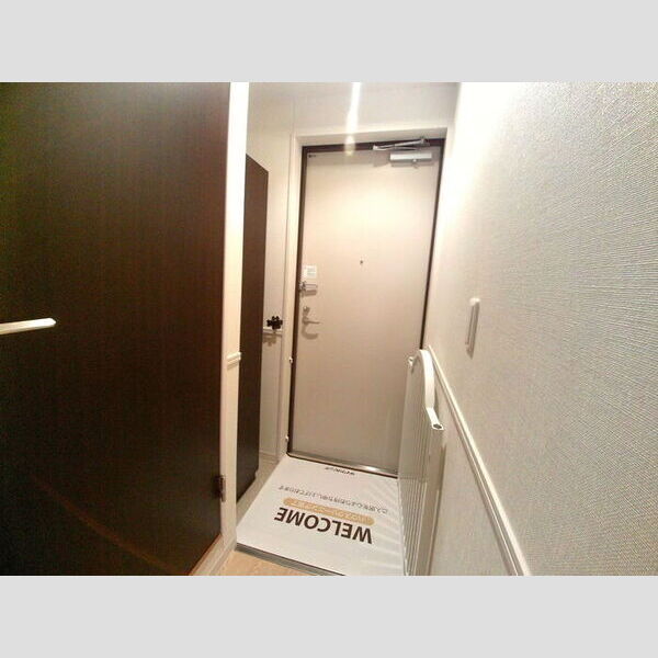 玄関 (トールタイプのシューズボックス付)