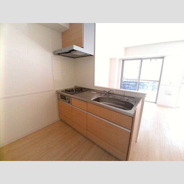 キッチン (2コンロのシステムキッチン)