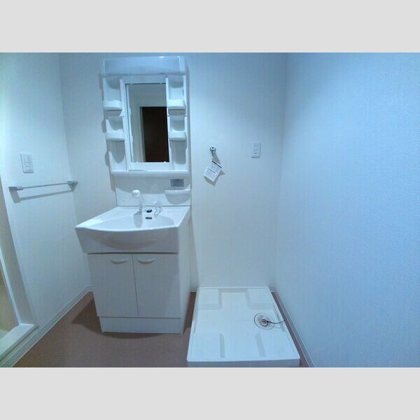 洗面所 (洗髪洗面台)