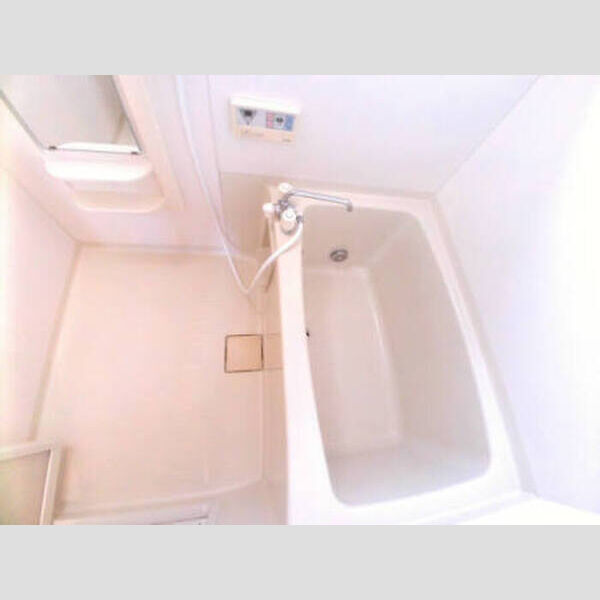 バス (ゆとりある広さのお風呂)