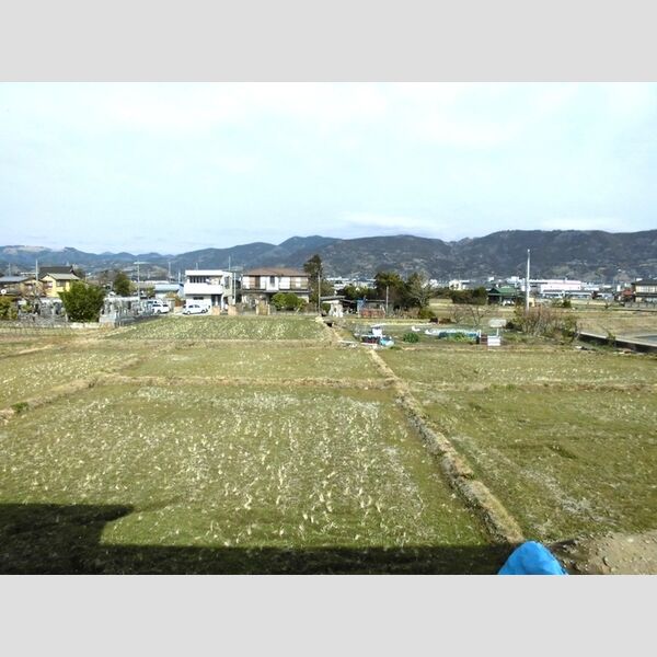 現地周辺 (♪北側洋室からの眺望です♪)
