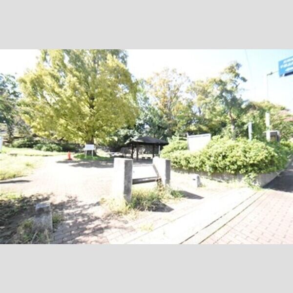 現地周辺 (公園)