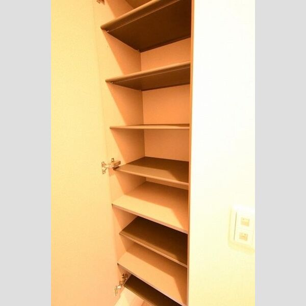 玄関 (玄関横シューズボックス)