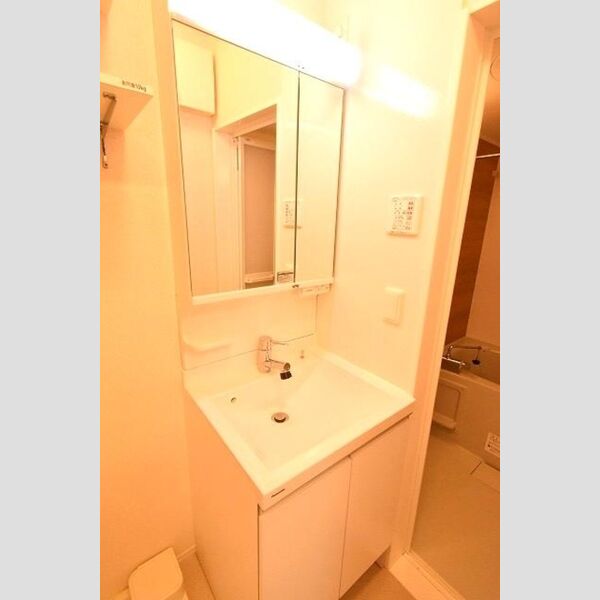 洗面所 (洗面化粧台)