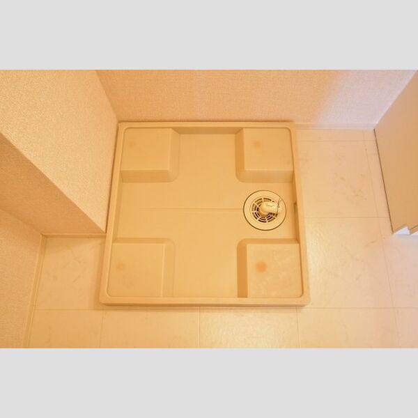 その他 (室内洗濯機置場)