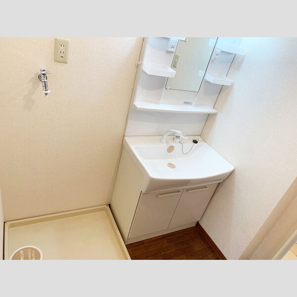 洗面所 (シャワー付洗面化粧台)