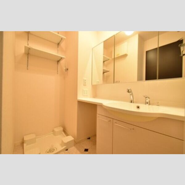 洗面所 (洗面室)