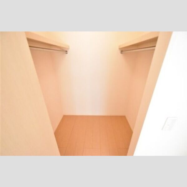 収納 (ウォークインクローゼット)