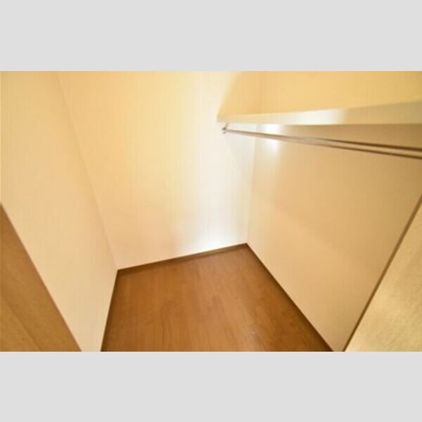 収納 (ウォークインクローゼット)