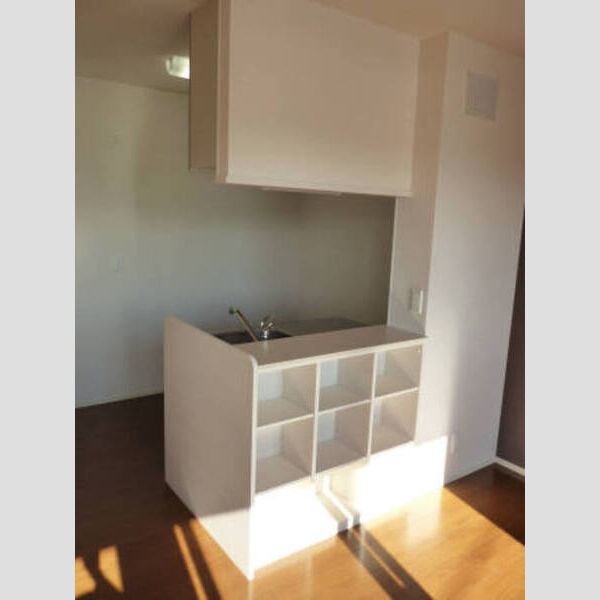 その他 (K・finesC棟202)