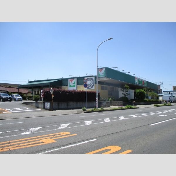現地周辺 (ヨークマート都賀店(504m))