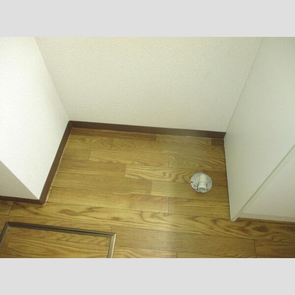 その他 (室内洗濯機置場)