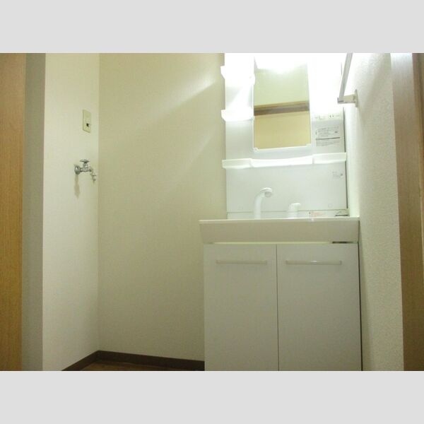 洗面所 (洗髪洗面化粧台)