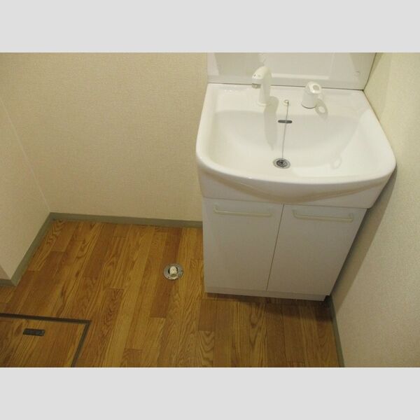 洗面所 (洗髪洗面化粧台、室内洗濯機置場)