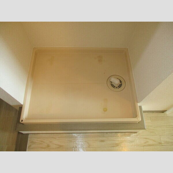 その他 (室内洗濯機置場)