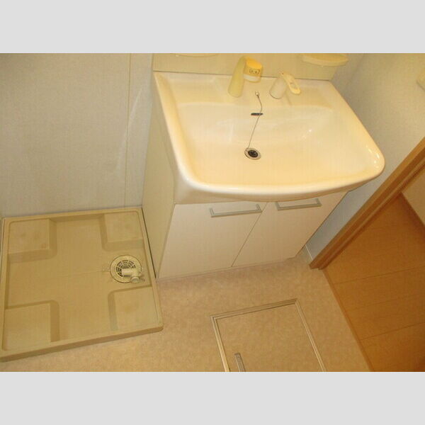 洗面所 (洗髪洗面化粧台・室内洗濯機置場)