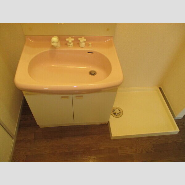 洗面所 (洗髪洗面化粧台、室内洗濯機置場)