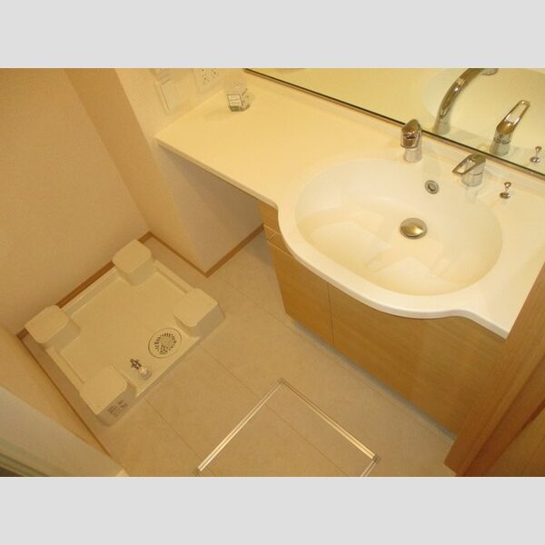 洗面所 (洗髪洗面化粧台、室内洗濯機置場)