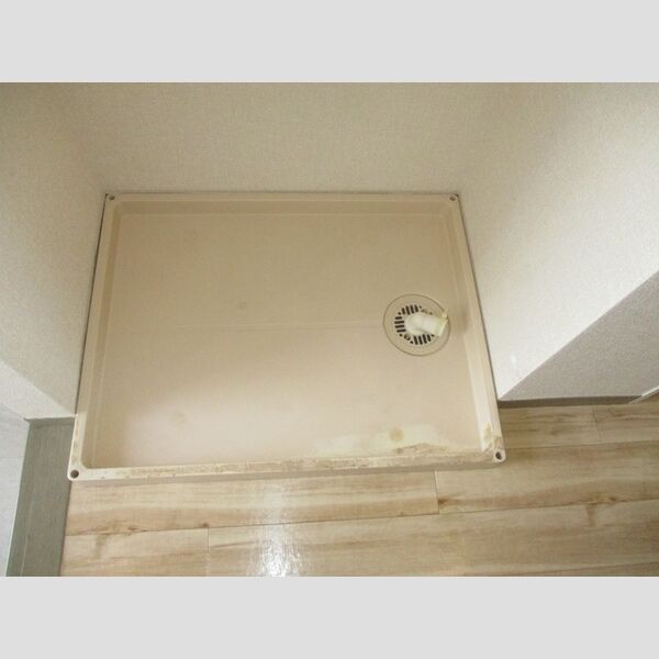 その他 (室内洗濯機置場)