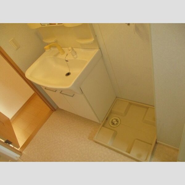 洗面所 (洗髪洗面化粧台、室内洗濯機置場)