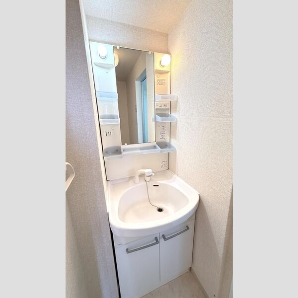 洗面所 (洗髪洗面化粧台)