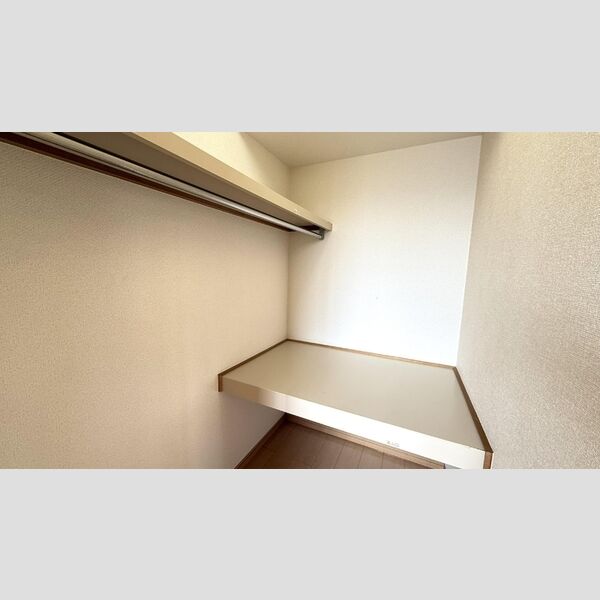 収納 (ウォークインクローゼット)