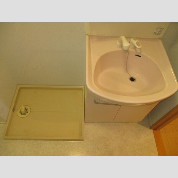 洗面所 (洗髪洗面化粧台、室内洗濯機置場)