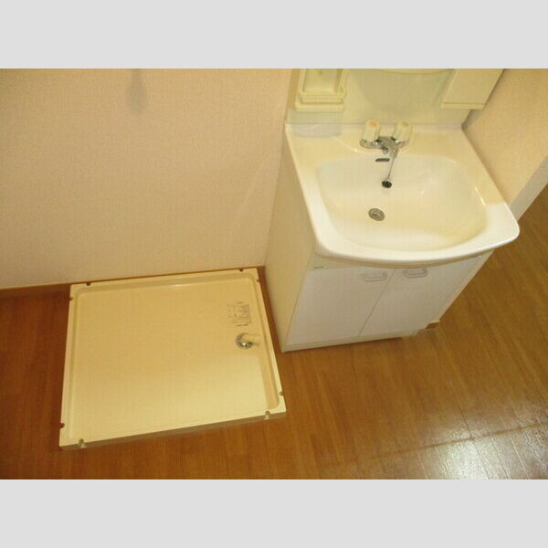 洗面所 (洗面台、室内洗濯機置場)