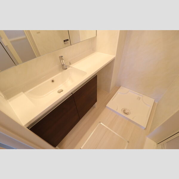 洗面所 (洗髪洗面化粧台)