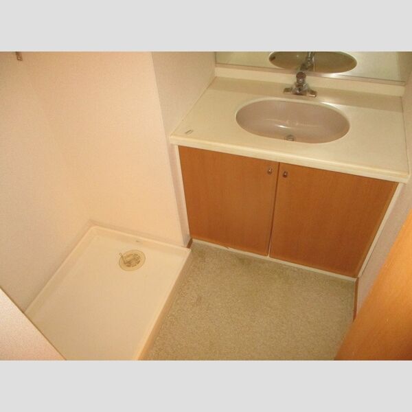 洗面所 (洗面台、室内洗濯機置場)