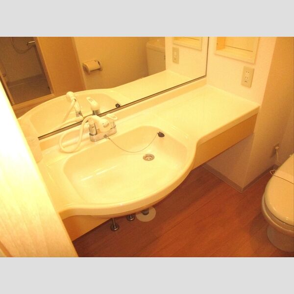 洗面所 (洗髪洗面化粧台)