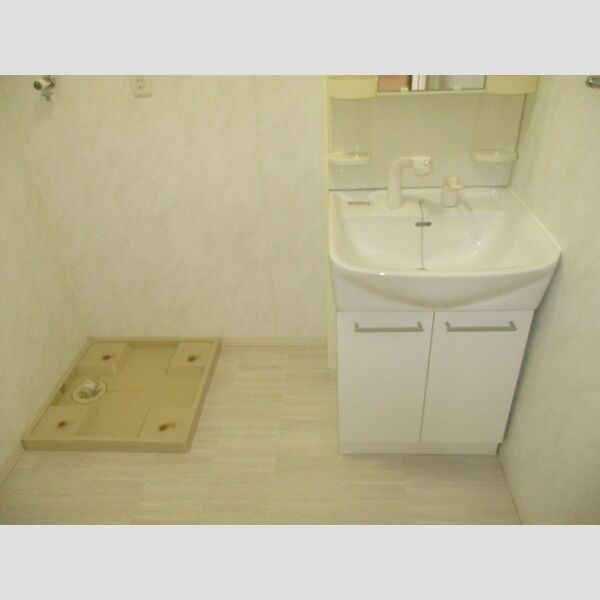 洗面所 (洗髪洗面化粧台、室内洗濯機置場)