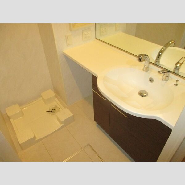 洗面所 (洗髪洗面化粧台、室内洗濯機置場)