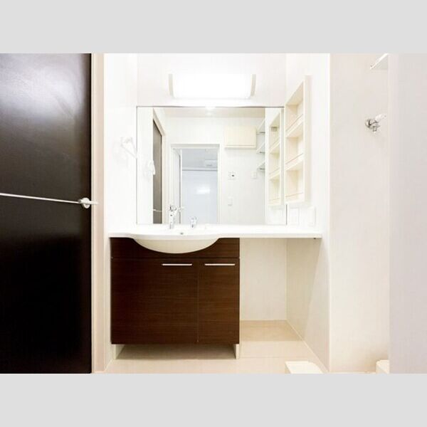 洗面所 (洗髪洗面化粧台)