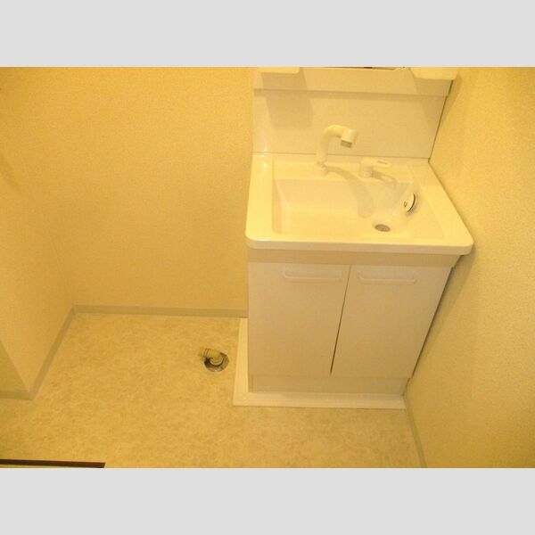 洗面所 (洗髪洗面化粧台、室内洗濯機置場)