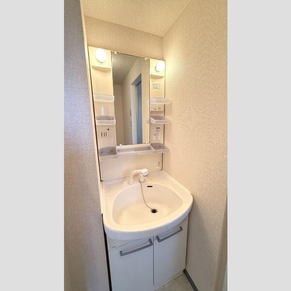 洗面所 (洗髪洗面化粧台)