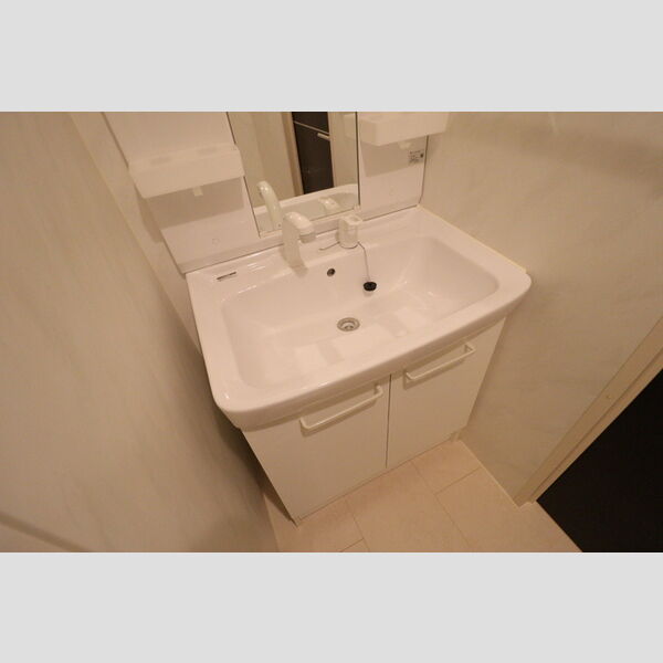 洗面所 (洗髪洗面化粧台)