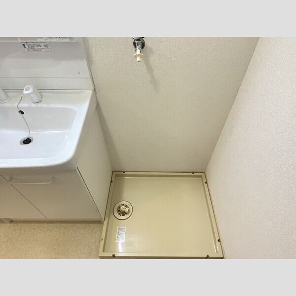 洗面所 (室内洗濯機置場)