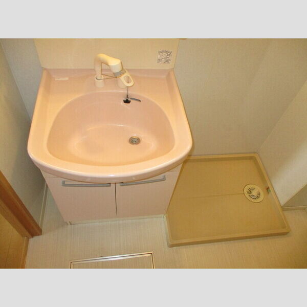 洗面所 (103(洗髪洗面化粧台、室内洗濯機置場))