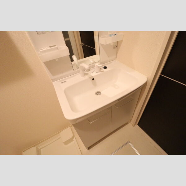 洗面所 (洗髪洗面化粧台)