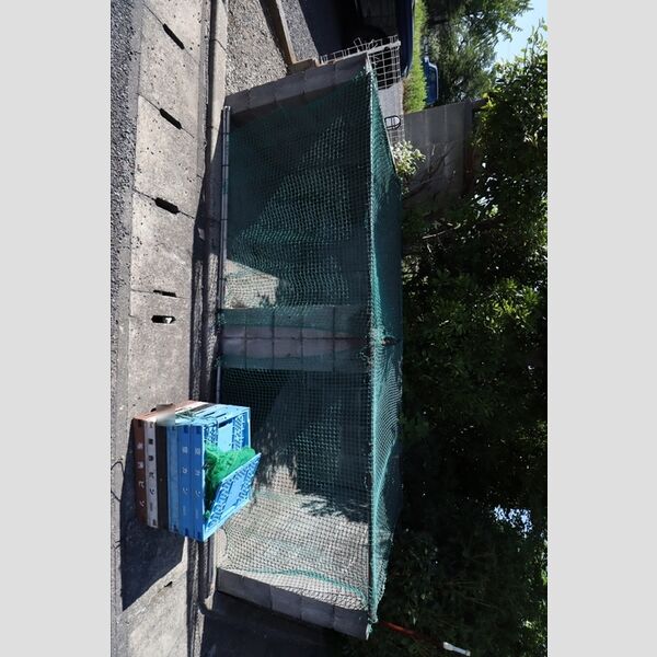 現地周辺 (ゴミ置き場)