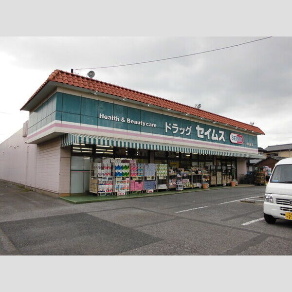 現地周辺 (ドラッグストア)