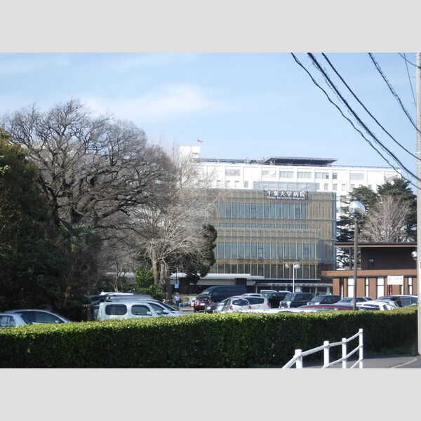 現地周辺 (千葉大学医学部付属病院　2013m)