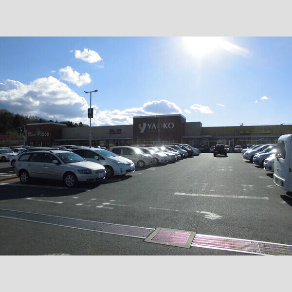現地周辺 (ヤオコー佐倉染井野店 1110M)