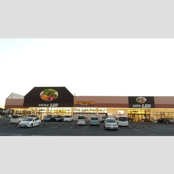 現地周辺 (レオ市原店 697m)