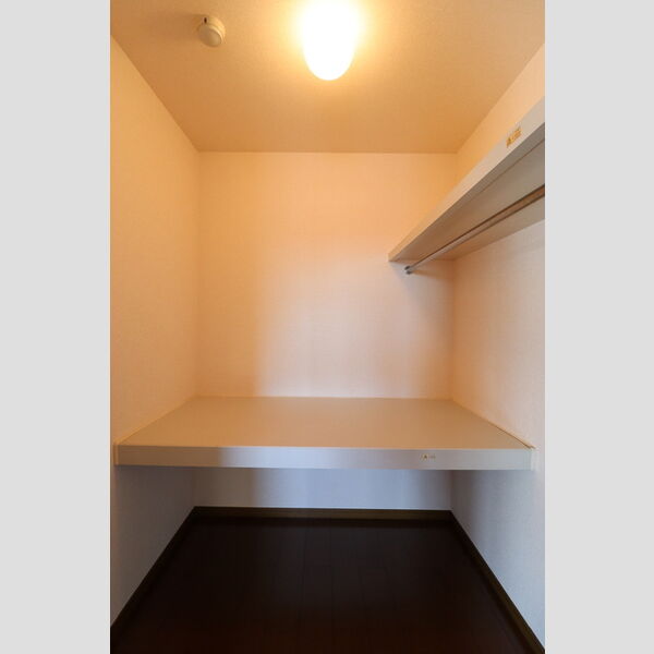 収納 (ウォークインクローゼット)