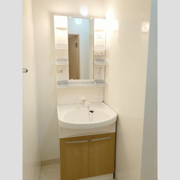 洗面所 (洗髪洗面化粧台)